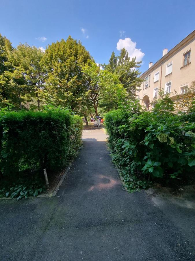 Ultra-Central 1 Bed Apartment, Str Nicolae Iorga Baia Mare Exterior foto
