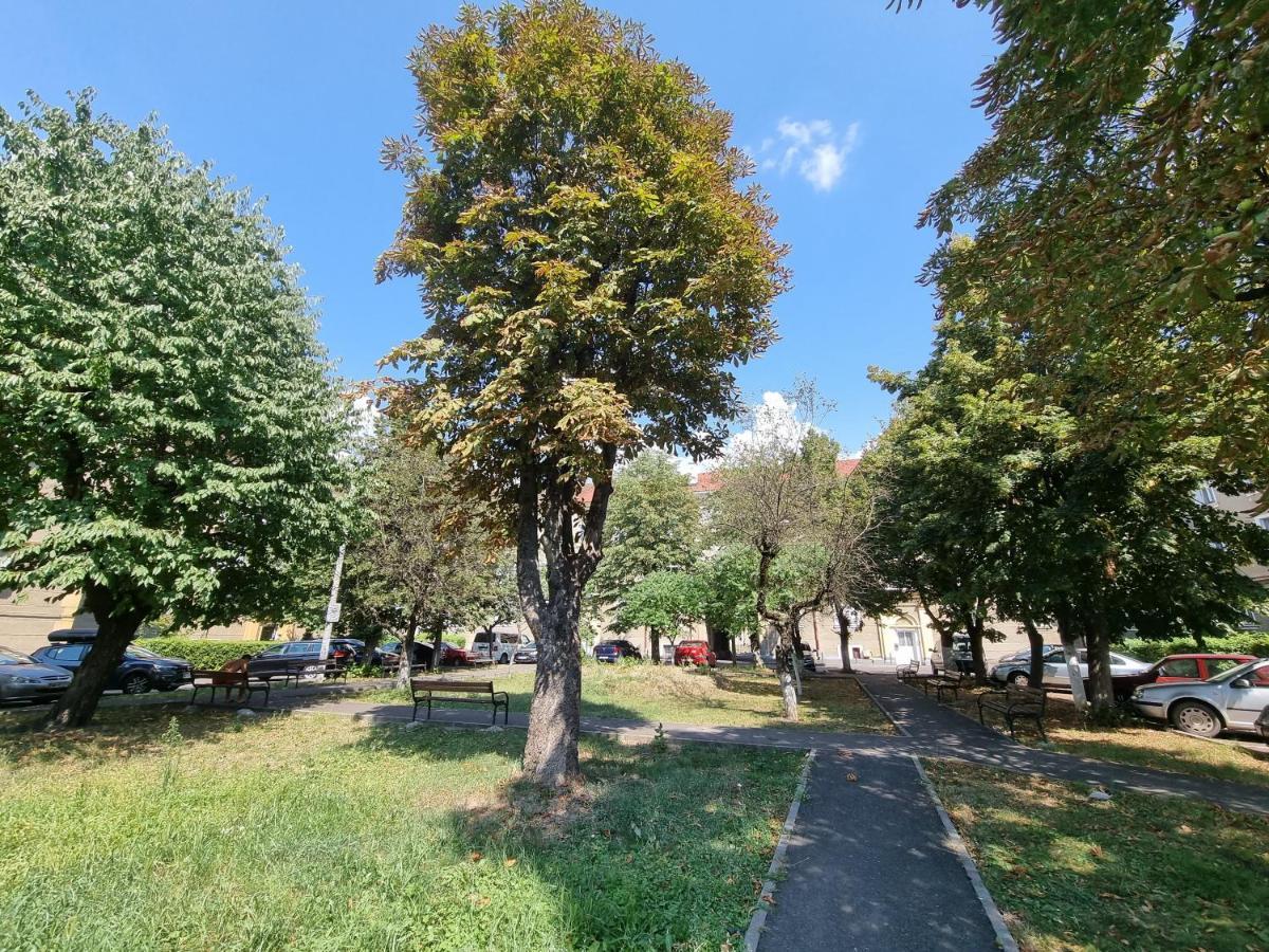 Ultra-Central 1 Bed Apartment, Str Nicolae Iorga Baia Mare Exterior foto