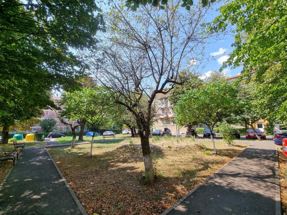 Ultra-Central 1 Bed Apartment, Str Nicolae Iorga Baia Mare Exterior foto